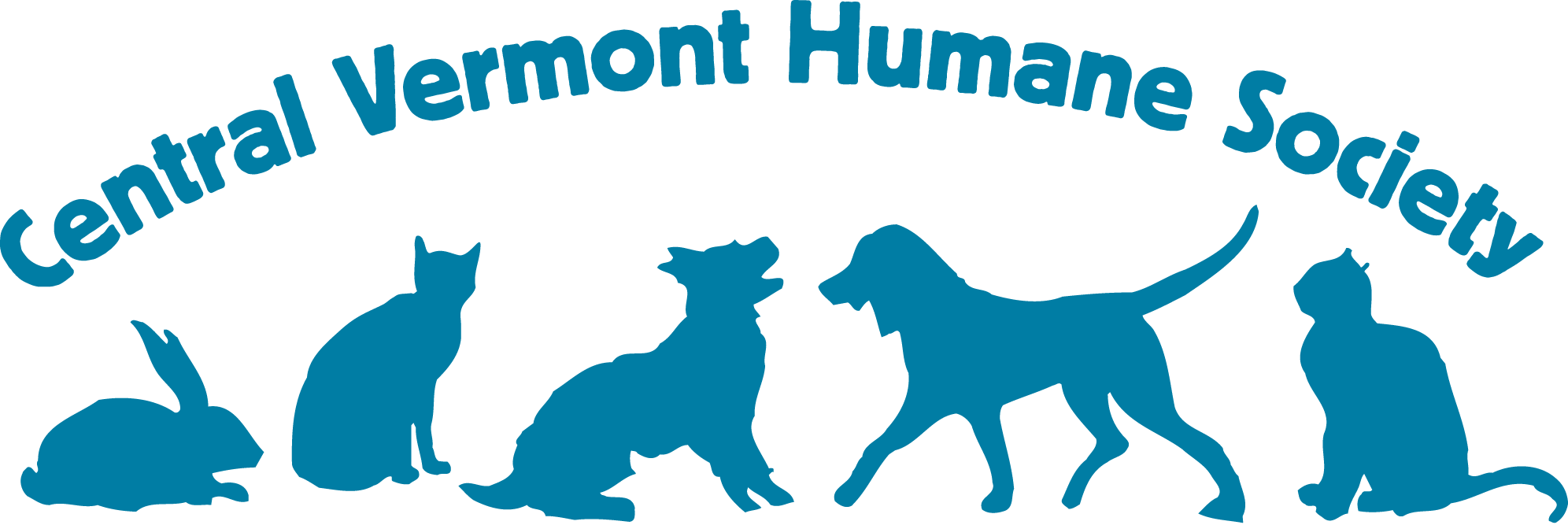6 Best Vermont (VT) Dog Insurance Plans Compared in 2024