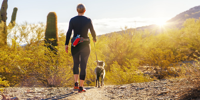 arizona dog trail