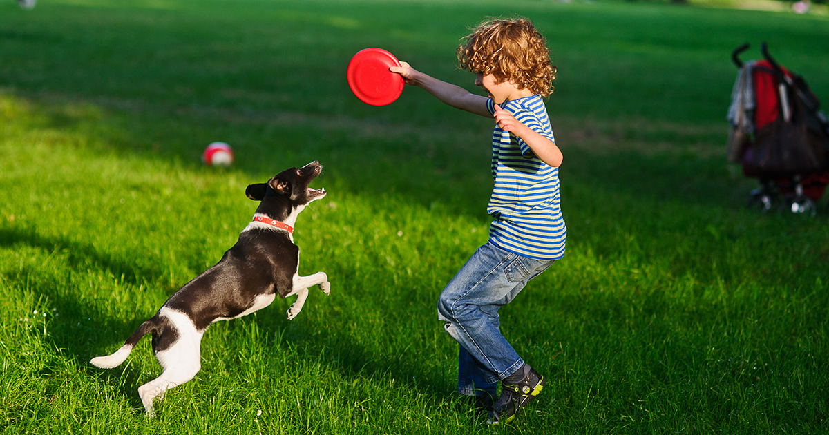 The 150 Most Dog Friendly U S Cities
