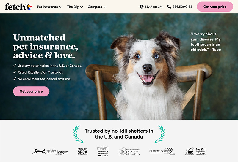 fetch homepage