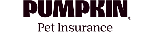 pumpkin insurance