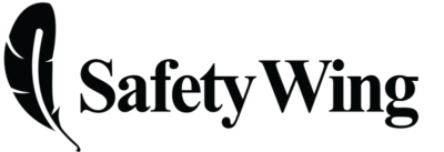 Safetywing logo small
